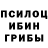 Галлюциногенные грибы GOLDEN TEACHER Davron Uldashev