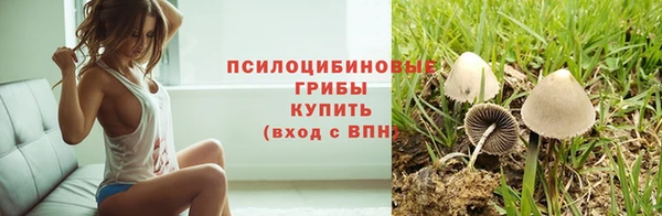 эйфоретик Беломорск